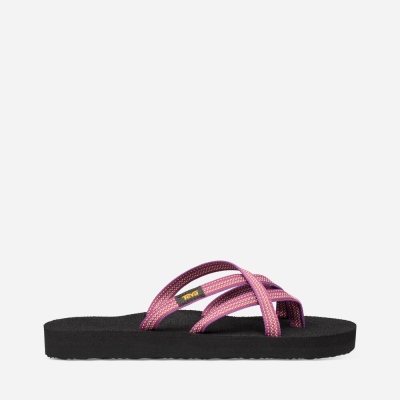 Teva Olowahu - Women's Teva Flip Flops - Grey / Red Purple | India (TDWE73908)